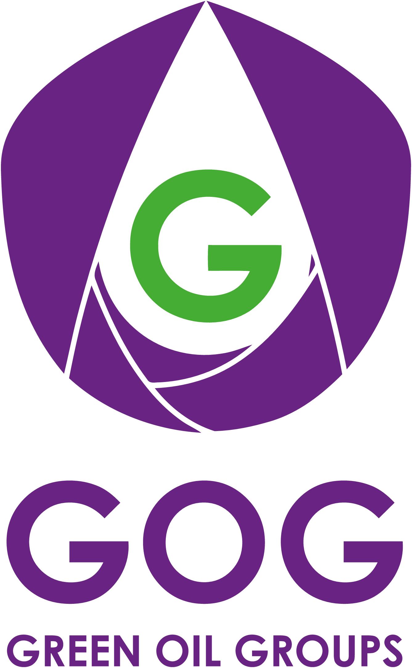 Дизельне паливо (Євро 5), АЗС GOG, талон